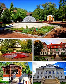 Top: Spa Park, Middle left: Museum, Middle right: University of Science and Technology, Bottom left: Spa Cafee, Bottom right: Borynia Palace.