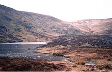 Kelly's Lough - geograph.org.uk - 128576