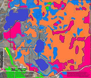 Lake Maria State Park New Wiki Version