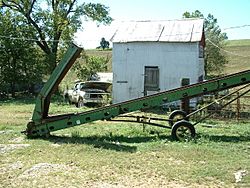 Grain conveyor on a farm near Belle