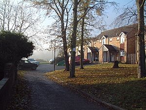 Lime Close - geograph.org.uk - 89705