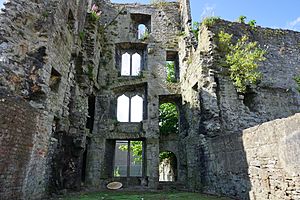 Limerick, Fanning's Castle (3)