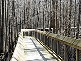 Louisiana Purchase State Park 004