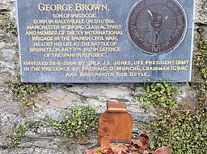 Memorial to George Brown, Inistioge, Kilkenny 2013-08-28 14-24
