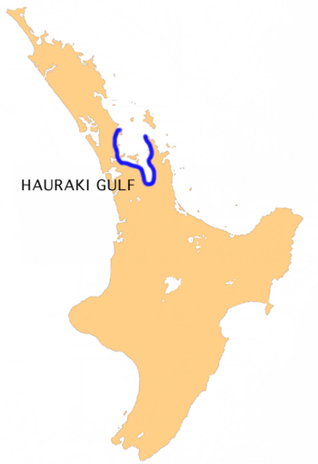 NZ-Hauraki G.png