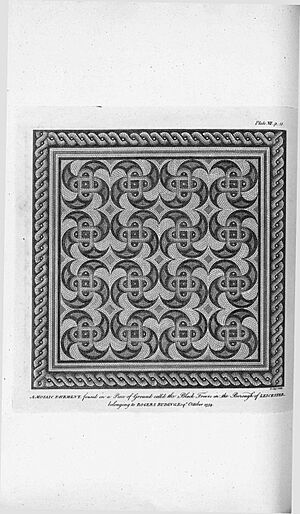 Nichols Leicester Blackfriars Pavement Plate XII