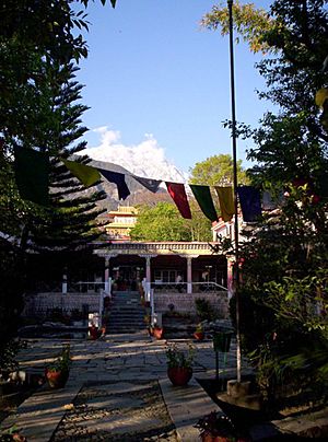 Norbulingka Institute, with Dhauladhar range in the background.jpg