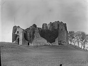 Oystermouth Castle (4600918143)