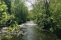 Paulins Kill rapids, Marksboro, NJ
