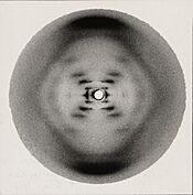 Photo 51 x-ray diffraction image