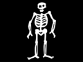 Pirate Skeleton Flag