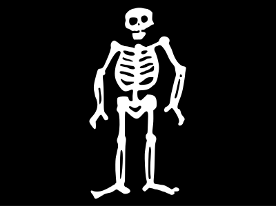 Pirate Skeleton Flag