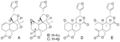Polystachynes A-E