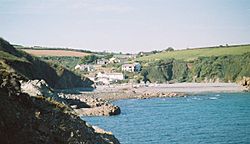 Porthallow cove from Porthkerris Point - geograph.org.uk - 320538
