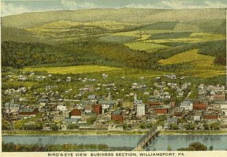 PostcardWilliamsportPABizSectionAerial1919