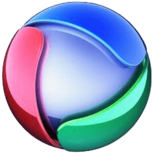 Record Logo 2011