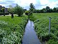 River Key, Purton Stoke - geograph.org.uk - 438519