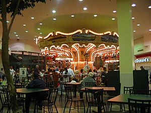 Rotterdam Carousel
