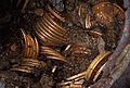 Saddle Ridge Hoard coins and dirt