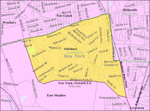 Salisbury-nassau-ny-map