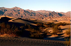 Sand Dunes in Death Valley National Park.jpg
