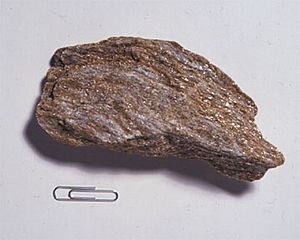 SchistUSGOV