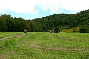 Shelving-Rock-encampment-site-tn1