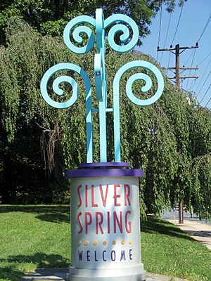 Silver Spring Sign