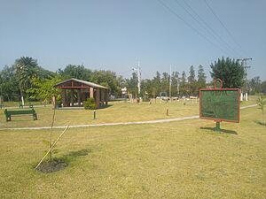 Square in Colonia Baranda