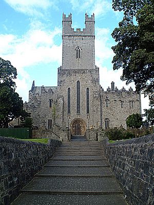 St Marys Cathedral, Limerick - geograph.org.uk - 305007