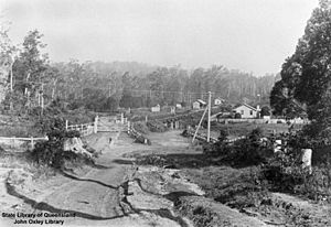 StateLibQld 2 157725 View over the Eudlo Railway Station, Eudlo, 1907