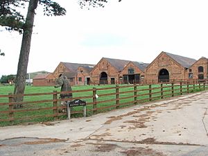 View of stables from the entrance driveway, with a wooden horse's head prominent