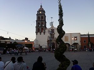 TEMPLO DE SAN FRANCISCO, COMONFORT,GTO.