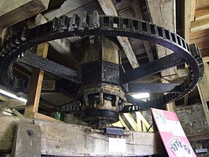 The great spur wheel, Rottingdean Mill