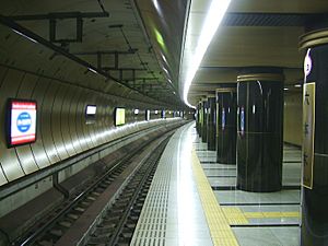 Toei-roppongi-station-platform-1
