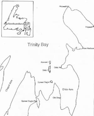 Trinity Bay Canada