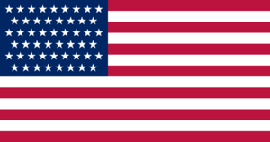 US flag large 51 stars