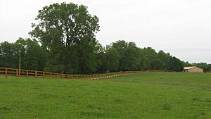 Vicinity of the site of Fort Morrow and Wyatt's Tavern