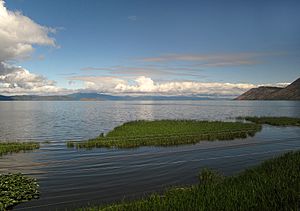 View of Upper Klamath Lake