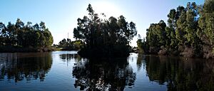 Warriparinga wetlands