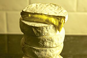 Waterloo Cheese.jpg