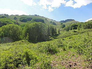 Weminuche Wilderness hills