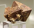 Xenotim mineralogisches museum bonn