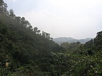 Yunmen mountain