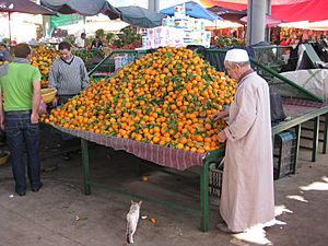 2010-12-14 Maroc Agadir Soukh local market