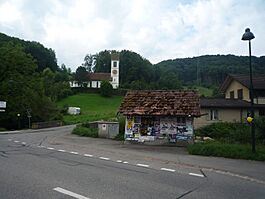 20100814 018 Ormalingen.jpg