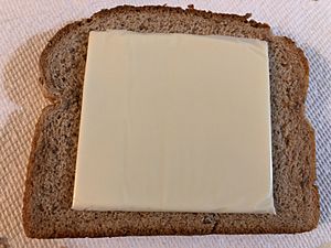 2019-02-06 21 06 59 A single slice of Kraft Singles White American cheese on top of a single slice of Arnold Whole Grain 100% Wheat Bread in Dunn Loring, Fairfax County, Virginia