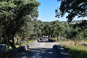 20190530 Spain and Portugal El Camino Pilgrimage 0160 (48002586721)