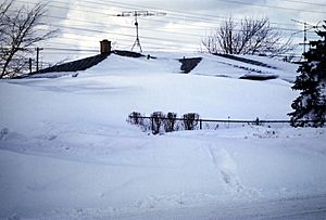 30 Jan 1977 Tonawanda, NY (Parker Blvd between Brompton Rd and Ellicott Creek Rd)