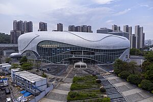 Aerial View, Guangzhou Baoneng Qoros Arena 20230604